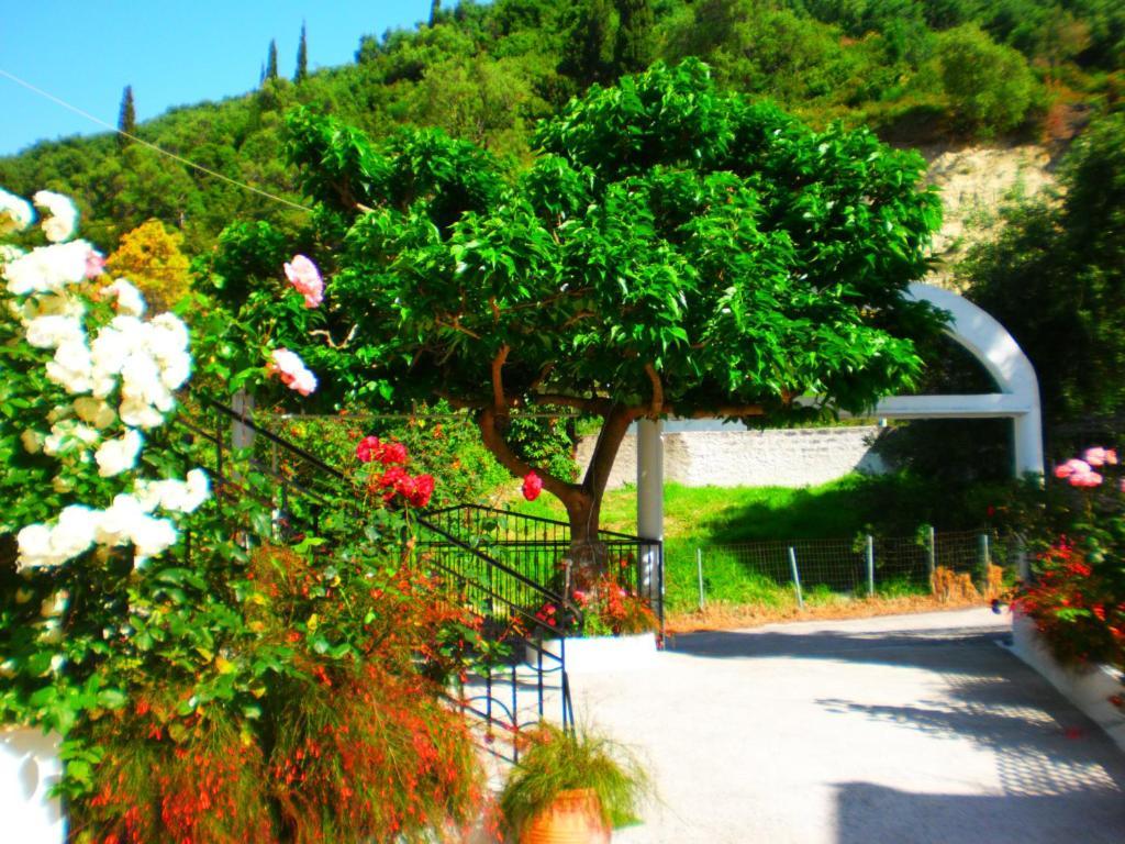 Oasis Hotel Parga Exterior photo